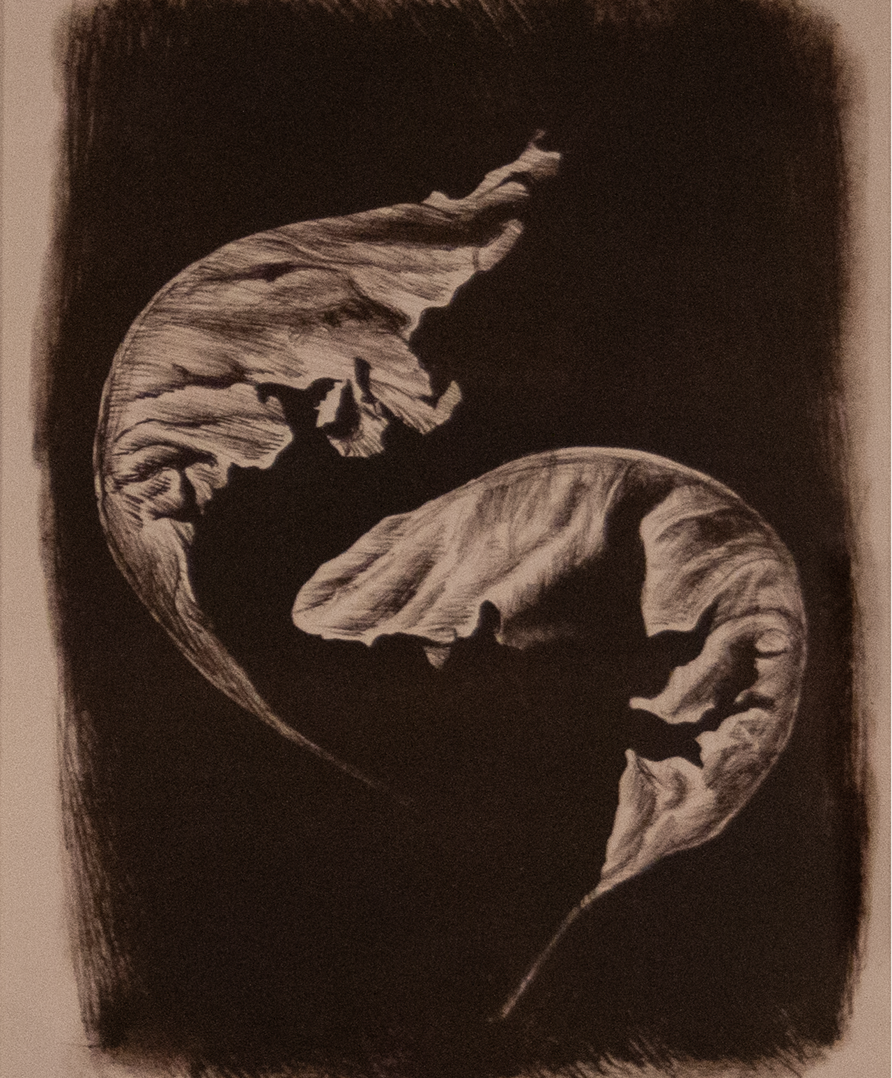 Face, 2021, close up